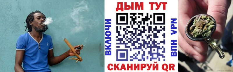 Бошки марихуана сатива  Купить где  Морозовск 